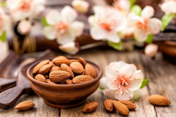 خرید و قیمت بادام درختی آمریکایی + فروش عمده